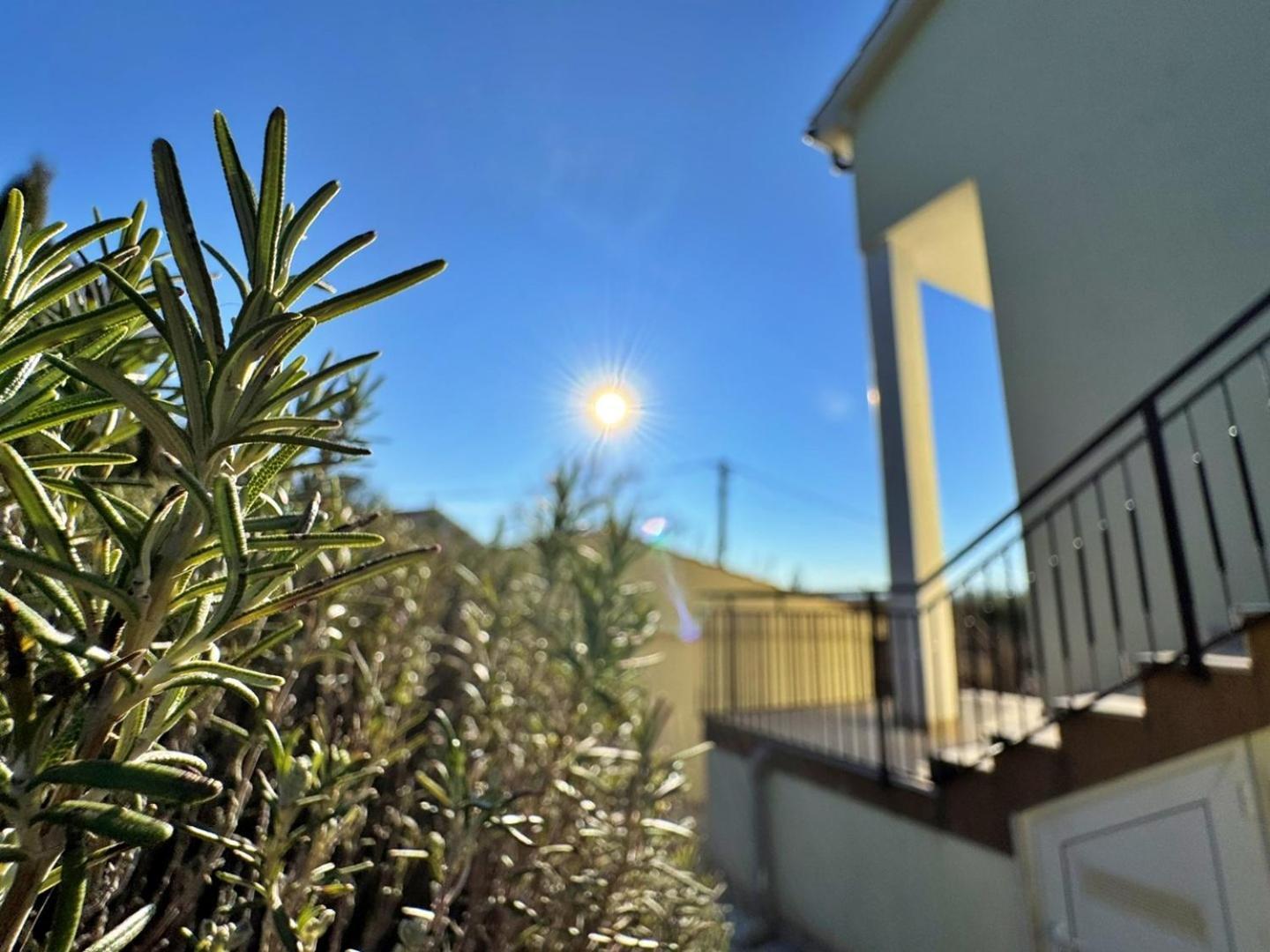 Apartments Pavle مالينسكا المظهر الخارجي الصورة